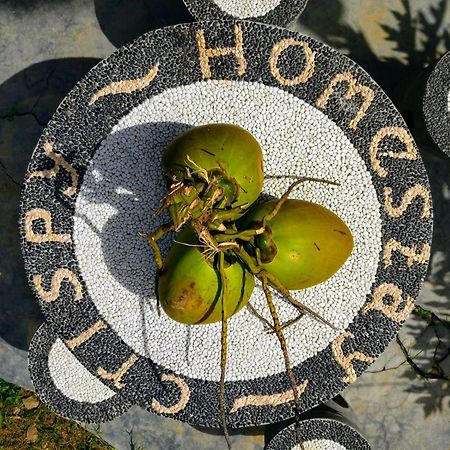 Crispycool Homestay Kuta  Exteriör bild