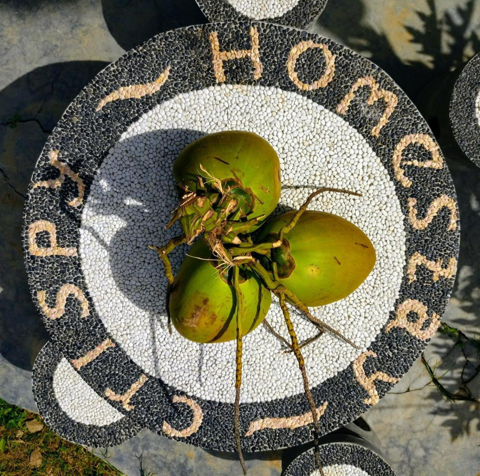 Crispycool Homestay Kuta  Exteriör bild